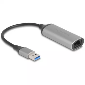 DeLOCK 81571 Dzimuma pārveidotājs USB Type-A uz RJ-45, 0.15 m
