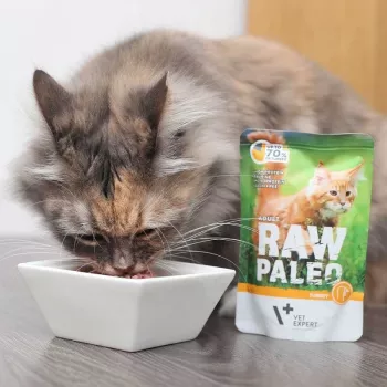 Slapjā barība kaķiem VETEXPERT Raw Paleo Adult Cat Turkey 100 g — bezgraudu, 10.3% olbaltumvielas, 5.3% tauki, 79% mitrums