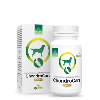 POKUSA ChondroCare Complex – uztura bagātinātājs suņiem – 120 gab.