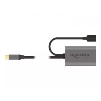 Delock USB-20225 Strāvas adapteris Pelēks