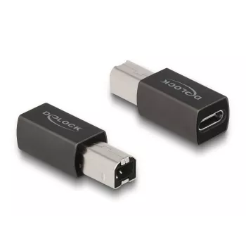 DeLOCK USB 2.0 Adapter USB Type-C sievišķais uz Type-B vīrišķo 65839