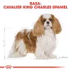 Sausā suņu barība Royal Canin Cavalier King Charles Adult 1.5 kg — Vistas gaļa, mazo šķirņu, ādai un kažokam, sirds atbalstam