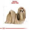 Sausā suņu barība Royal Canin Shih Tzu Adult 1,5 kg — mājputni, 24% olbaltumvielas, 20% tauki, pieaugušiem Shih Tzu