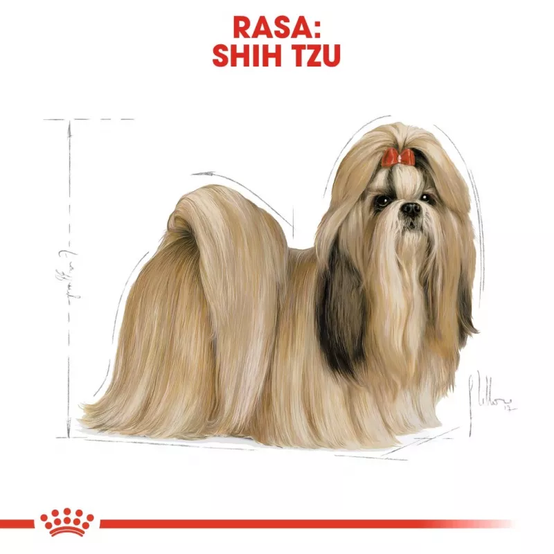 Sausā suņu barība Royal Canin Shih Tzu Adult 1,5 kg — mājputni, 24% olbaltumvielas, 20% tauki, pieaugušiem Shih Tzu