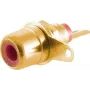 RCA savienotājs ShiverPeaks BS52091-R Gold Male
