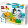 Lego 10442 Savvaļas dzīvnieku ģimenes: Pingvīni un Lauvas