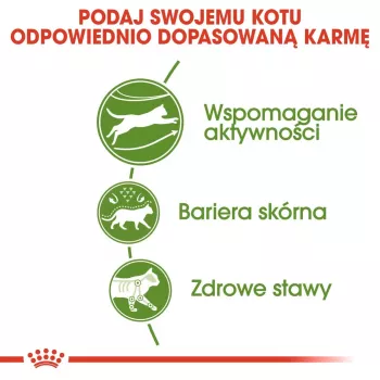 Royal Canin Outdoor sausā barība kaķiem 2 kg