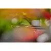 GARDENA L-Joint plastmasas savienotājs pilienveida apūdeņošanas sistēmai 4.6 mm