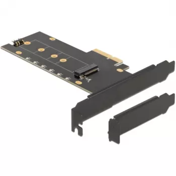 DeLOCK 89013 Iekšējā M.2 PCIe interfeisa karte, Low-profile