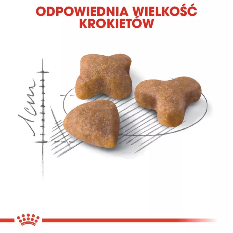 Royal Canin FHN Sensible sausais ēdiens pieaugušiem kaķiem, 4 kg