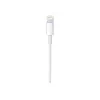 Kabelis Apple USB-C uz Lightning (1m)