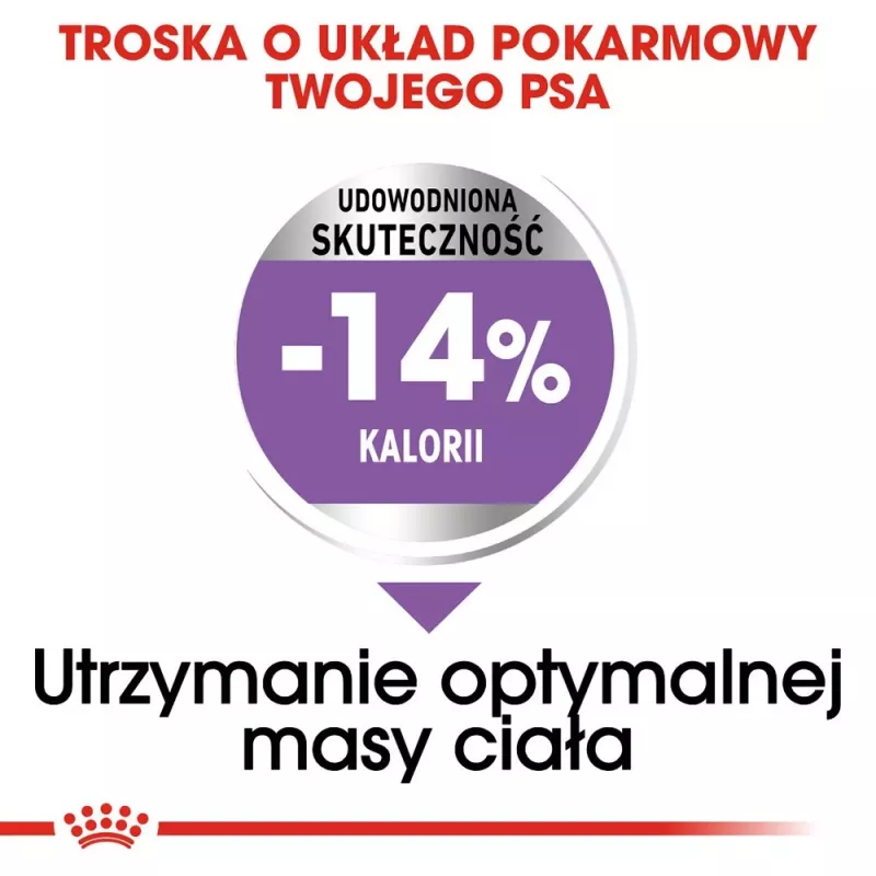Royal Canin Mini Sterilised sausā barība pieaugušu suņu ēdināšanai, 8 kg