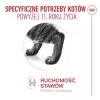 Slapjā barība kaķiem Royal Canin FHN Ageing 11+ Gravy 12×85 g – pilnvērtīgas maltītes senioriem