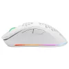 Datorpele Deltaco GAM-120-W RF Bezvadu USB Type-C