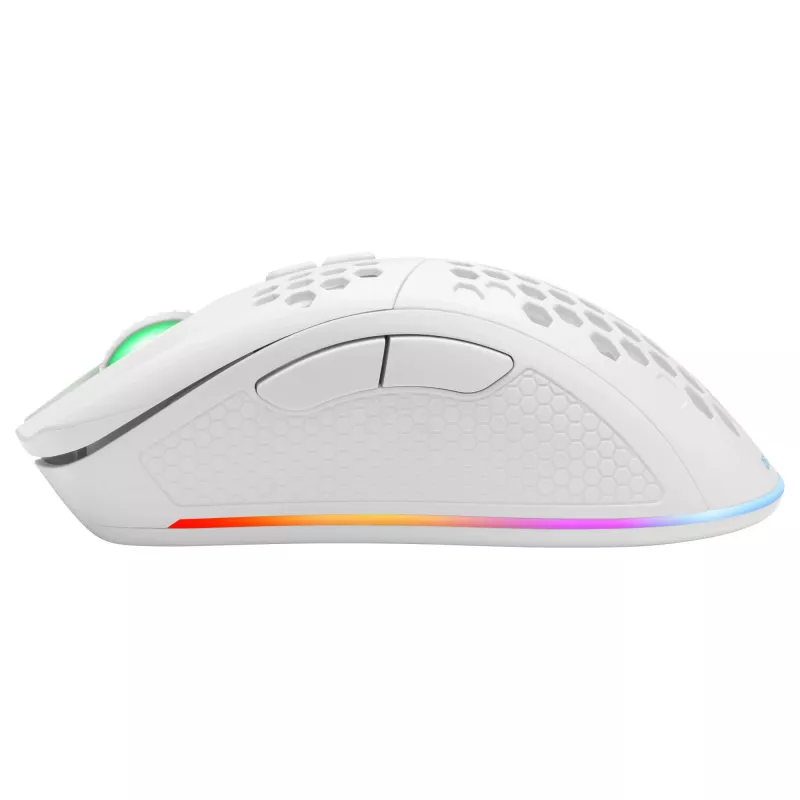 Datorpele Deltaco GAM-120-W RF Bezvadu USB Type-C