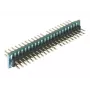 IDE Adapteris DeLOCK 65090 Melns Zaļš