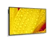 NEC MultiSync M651-2 65 collu LED kioska displejs 4K Ultra HD 500 cd/m²