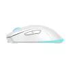 Pele Baracuda BGM-122 Turtle Balta TURTLE-W