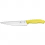 Virtuves nazis Victorinox SwissClassic 6.8006.19L8B