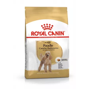 Sausā suņu barība Royal Canin Poodle Adult 1,5 kg — Vistas gaļa, 30% olbaltumvielas, 19% tauki