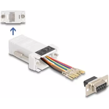 DeLOCK D-Sub 9 sievišķais uz RJ45 sievišķo montāžas komplekts balts VGA RJ-45
