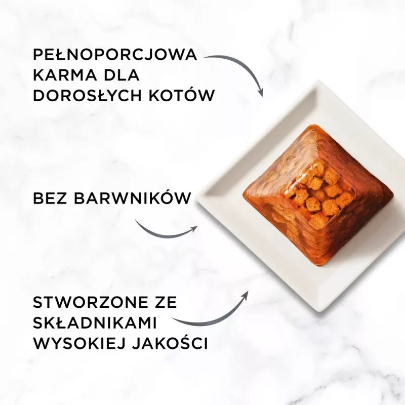Slapjā barība kaķiem Purina Nestlé Gourmet Revelations gabaliņi želejā ar lasi 2x57 g, pieaugušiem, pilnvērtīga