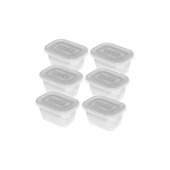ROTHO Freeze saldētavas trauks - 6x250ml