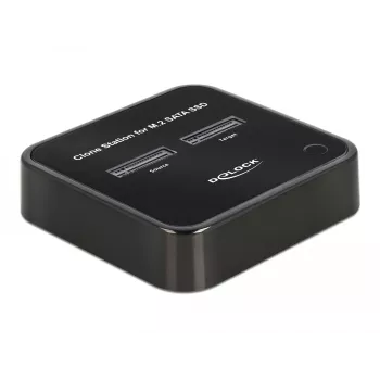 DeLOCK 64178 Docking Station USB 3.2 Gen 2 Type-C M.2 SSD