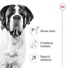 ROYAL CANIN Giant Adult - sausā barība suņiem - 15 kg