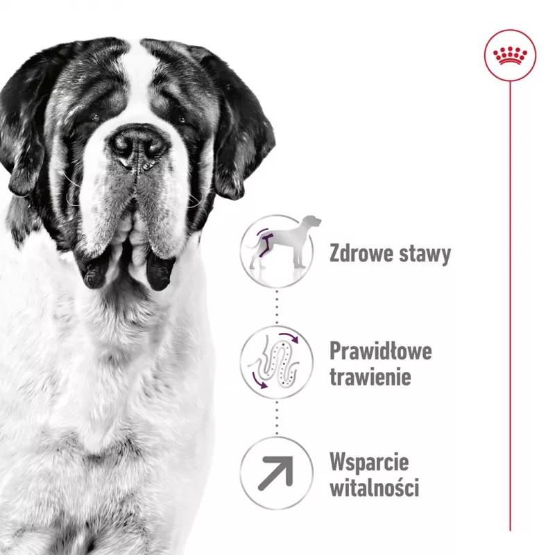 ROYAL CANIN Giant Adult - sausā barība suņiem - 15 kg