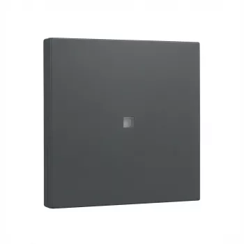 Gira System 55 pārslēgšanas sviras pārsega plāksne antracīta krāsā (modelis 329028)