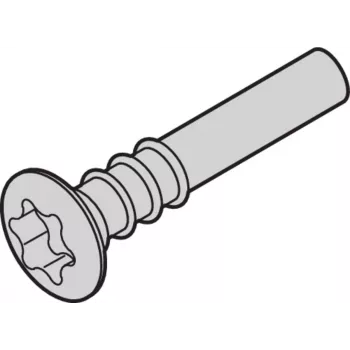SCHROFF Torx-Linsenkopfskrūve - NTS LISESHR TORX3.0X20 100 gab. (24812501)