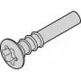 SCHROFF Torx-Linsenkopfskrūve - NTS LISESHR TORX3.0X20 100 gab. (24812501)