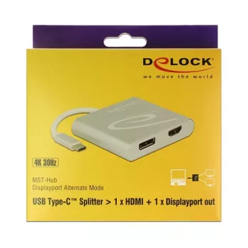 USB grafiskās kartes adapteris DeLOCK 87716 2560 x 1440 pikseļi Sudrabs
