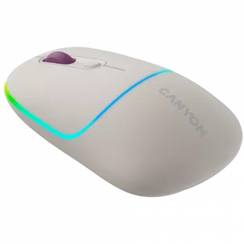 CANYON pele MW-22 2-in-1 BT/Bezvadu Rice