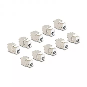 DeLOCK 88119 keystone modulis plakans balts RJ-45 10 gab.