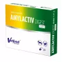 Vetfood AMYLACTIV DIGEST MINI – gremošanas enzīmi suņiem un kaķiem, 30 kapsulas