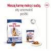 Royal Canin Maxi Adult 5+ sausais suņu ēdiens, 15 kg
