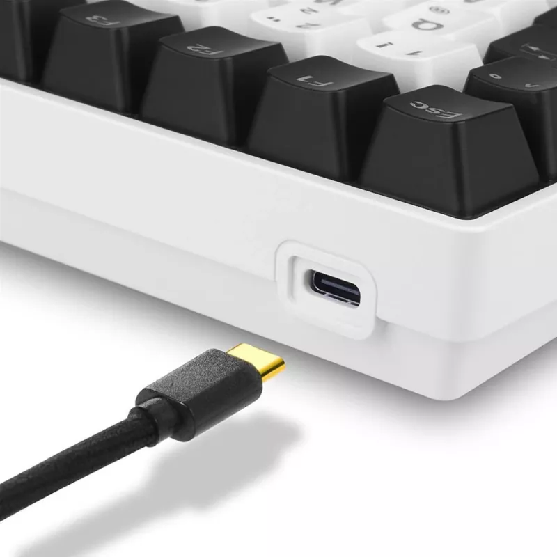 Sharkoon SKILLER SGK50 S3 Tastatūra Gaming Mehāniska USB AZERTY Baltā