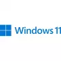 Microsoft Windows 11 Pro 64-bit Spāņu (FQC-10552)