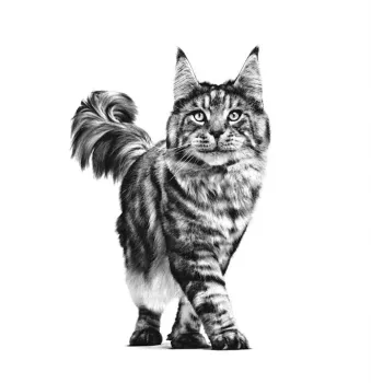 ROYAL CANIN Cat Gastrointestinal VHN - sausā barība kaķiem - 400g