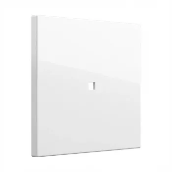 Gira Wippe Kontrollf. System 55 Reinweiß (329003) – Pārslēgs svira