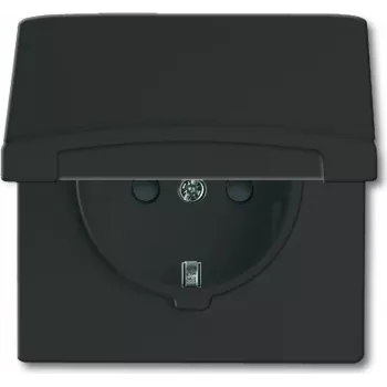 Busch-jaeger 2CKA002064A0295 Melns