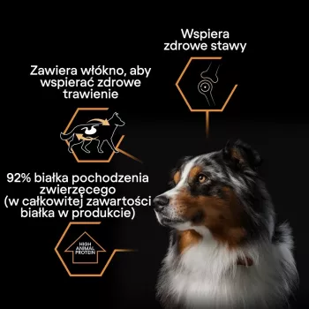 PURINA Pro Plan Everyday nutrition All size Adult Turkey in jelly - slapjā suņu barība - 400g