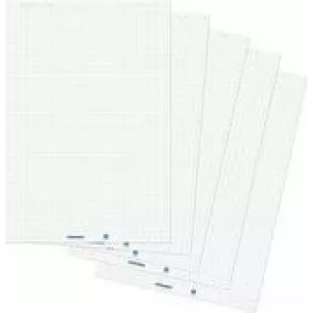 Flipchart papīrs Franken ZUF2180 ar režģi 68 x 99 cm, 20 loksnes blokā, 5 bloki