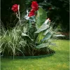 Gardena 536-20 Dārza apmales ruļļa plastmasa zaļa (536)