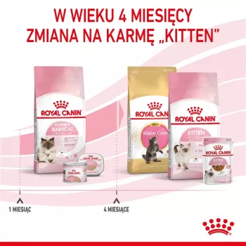 Sausā kaķu barība Royal Canin Mother & Babycat 2 kg — vista, grūsnām un zīdītājām kaķenēm un kaķēniem (Junior)