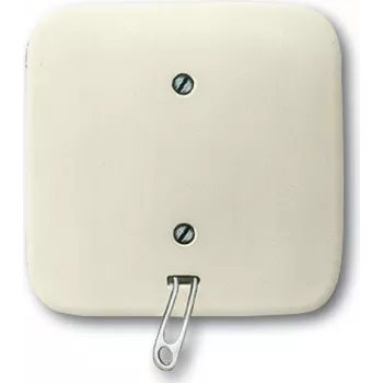 Busch Jaeger 2CKA001315A0191 Elektriskais slēdzis ar ķēdīti Balts