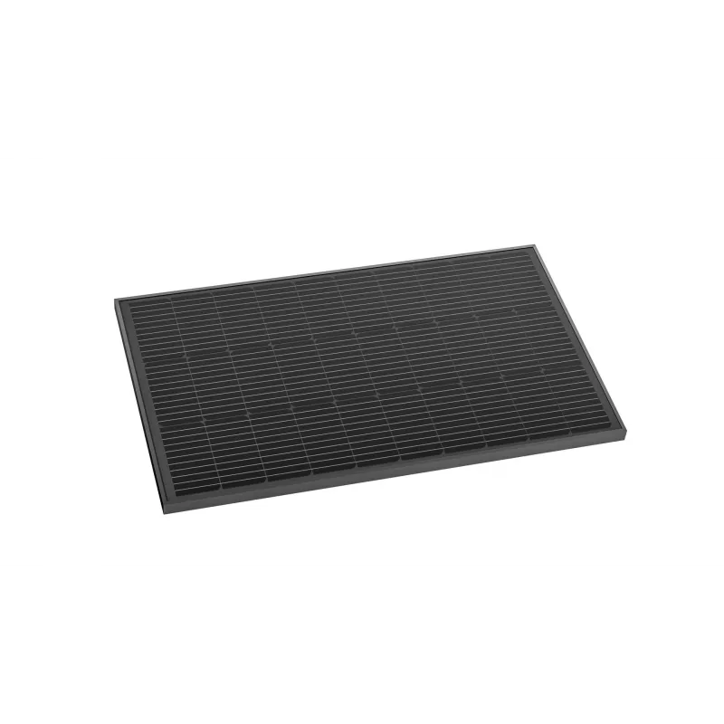 EcoFlow ZMS331 Saules panelis 100W Monokristāliskais silīcijs Melns IP68