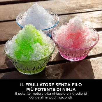 Ninja BC251 Smoothie Maker 570ml - Zils